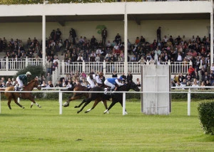 Affiche Courses hippiques à l'Hippodrome de Nîmes