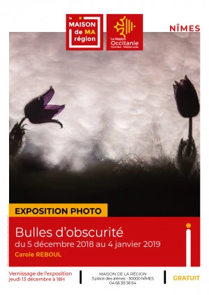 Affiche Exposition "Bulles d'obscurité" de Carole REBOUL
