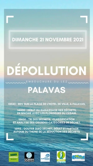 Affiche Dépollution du Lez 