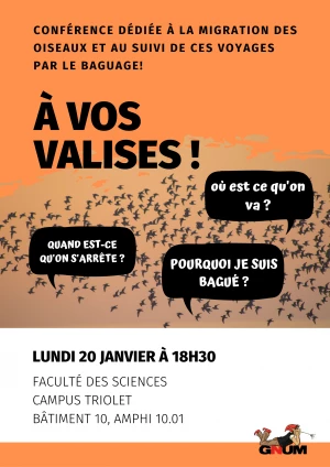 Affiche Conférence "À vos valises" ! Migration et baguage des oiseaux