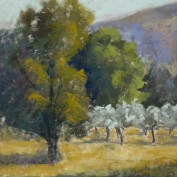 Provence pres de St Rémy. - Pastel on papier Uart - 40x40 - - Martine Tulet 