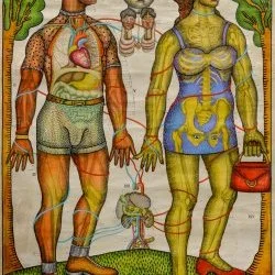 Adam et Eve - 110x150 Technique mixte sur planche anatomique 2020