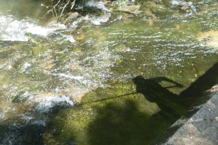 Pêcheur de son - Marion Albert 