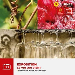 Affiche Exposition photos "Le vin qui vient"