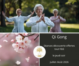 Affiche Seance decouverte qi gong