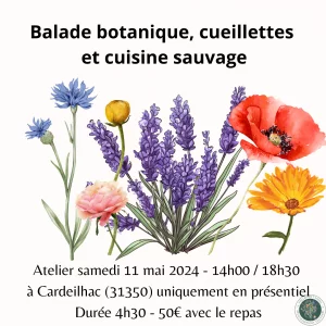 Affiche Balade botanique, cueillette et cuisine sauvage