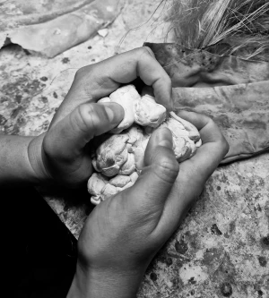 Affiche Formation Pro - Quand la marionnette trouve sa forme