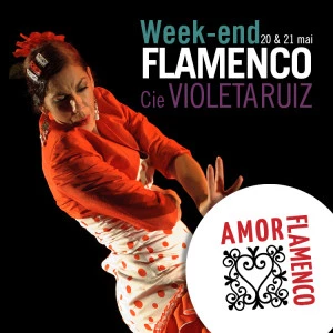 Affiche Flamenco | Stages + Spectacle avec Violeta Ruiz | 13/14 janvier 2018 | Rivesaltes