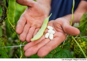 Un nouveau dispositif « Filières territorialisées » pour soutenir nos producteurs