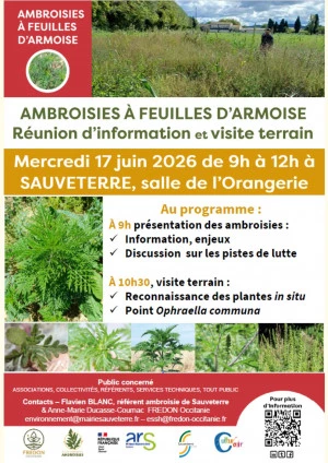 Affiche Réunion d'information et visite de terrain sur l'ambroisie à feuille d'armoise