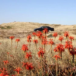 Première image - Photographie, 2024, 60 x 90 cm, encadrée sous verre - Agnès Fornells 