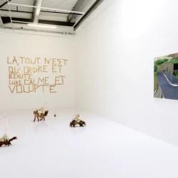 FAGOT DE CONDITION 2017-2020 - sculptures, taxidermies et ossements divers, ficelle