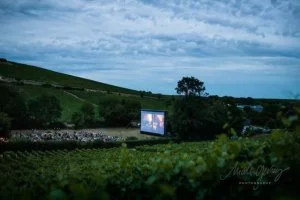Affiche Ciné Vignes, les séances de cinéma en plein air sur la destination Sancerre-Pouilly-Giennois
