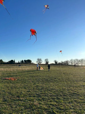 Affiche Stage sportif cerf-volant et boomerang avec Volensud 