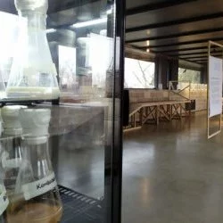 Fermenthèque, exposition Guerre et Paix du Vivant, Centre d'art La Cuisine, 2021-2022 - Installation d'une bibliothèque collaborative de souches de ferment et vue de la salle d'exposition