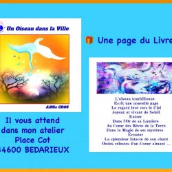 « Un oiseau dans la ville » - Livre de poésie écrit et illustré par mes soins -