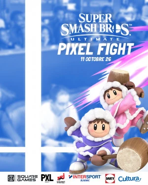 Affiche PXL Fight