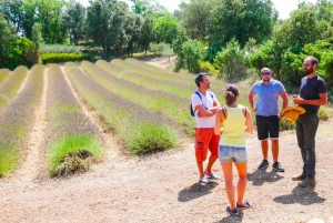 Affiche Visite guidée
