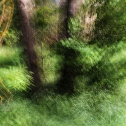 Printemps - Philippe Cadu 