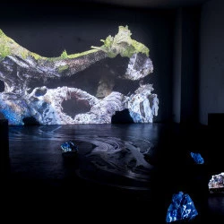 Germination nocturne - DNSEP 2026 - Franck Alix 
