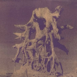 Untitled - Anthotype au choux rouge sur papier aquarelle. 24 x 31.8 cm - Beta Ibáñez - 2022 