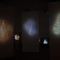 Le même fleuve ne se voit jamais deux fois - Le ventre de la rivière - Installation vidéo _ Musée départemental du Textile de Labastide Rouairoux - dans le cadre de l'exposition « Après la pluie » organisée par le département du Tarn. - Crédits photographique : Lise Bardou et Xavier Ovídio 