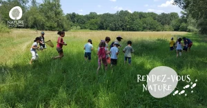Affiche 03/10 - Les petits explorateurs de la forêt