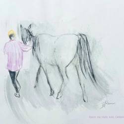 Suivre ma route - "Mystère" cheval repart avec sa gardienne après un soin énergétique