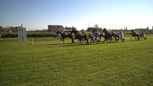 Affiche Courses hippiques à l'Hippodrome de Nîmes