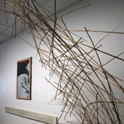 1- Enchevêtrements , 2- Béton désarmé , 3- Spectrum spei - 1- Vannerie sauvage de canisses en tension. 2- Transfert de poème sur béton moulé, 200x13x4cm. 3- Tirage argentique NB, encadrement en aubier et écorce brute, 52,5x80cm. 2026 - Fabienne Jaureguiberry 