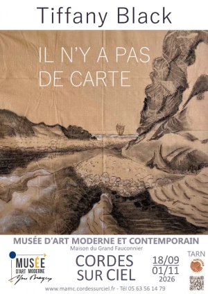 Affiche Il n'y a pas de carte 