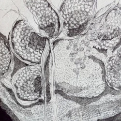 Ramification souterraine - Gravure Eau Forte - Sandrine Ginisty 