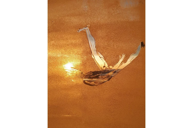 échappée - Vidéo / tirage photographique 2020 - ©sarah Dugrip 