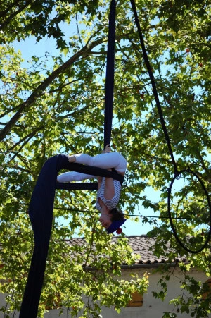 Affiche Stage de cirque : aériens