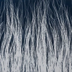 Monotype herbe - Encre sur papier, 30 x 40 cm