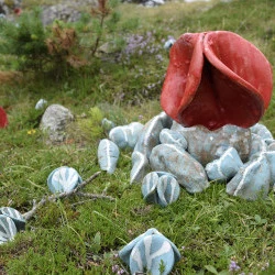 Invasion - Installation in situ. En collaboration avec Maëlle Royet. 100 éléments en grès, émail et engobes, dimensions variables. Programme Parc&pics du parc National des Pyrénées et ESAD Pyrénées. Cauterets-Pont d'Espagne. - @ADAGP Lorène Roustin 