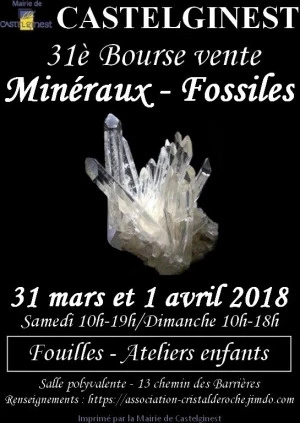 Affiche 31è bourse vente de minéraux et fossiles à Castelginest (31780)
