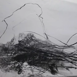 LES FLEURS - DESSIN FUSAIN