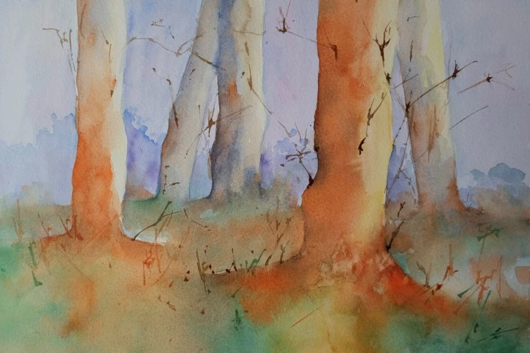 Forêt - Aquarelle - Gommedecrayon 