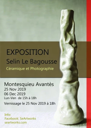 Affiche Selin Le Bagousse