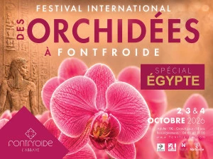 Affiche Festival international des orchidées
