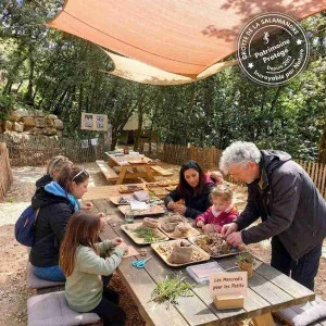 Affiche Les Mercredis pour les Petits !