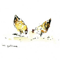 gallinas - chili 2000 - aquarelle et stylo - © Sarah Dugrip 