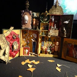 la maison des femmes - cabinet de curiosité - Eve Fouquet 