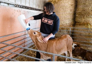 En facilitant l'installation des agriculteurs, l'Occitanie œuvre pour le renouvellement des générations