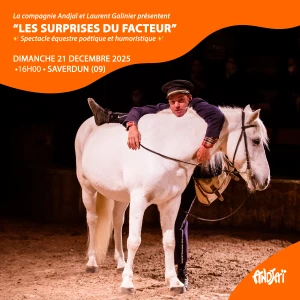 Affiche Les surprises du facteur