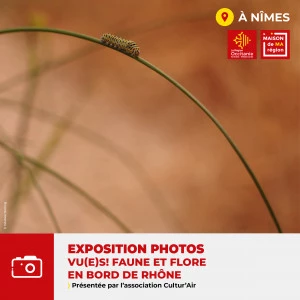 Affiche Exposition "VU(E)S ! FAUNE ET FLORE EN BORD DE RHÔNE"