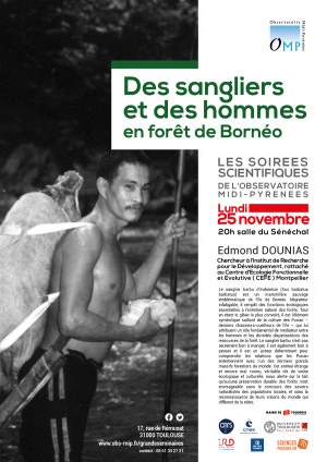 Affiche Des sangliers et des hommes en forêt de Bornéo Soirée 