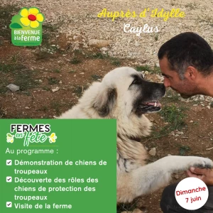Affiche Quinzaine des produits Bio et Régionaux - Ferme en Fête Auprès d'Idylle à Caylus (82)