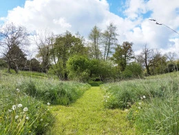 Un parc de sculptures - Fabrice Leroux
